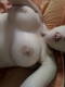Foto privada de Lily_sexy_
